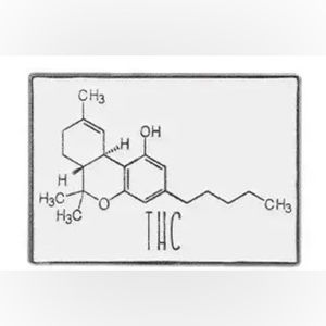 $2 SCIENCE PIN/BROOCH. ENAMEL/METAL. NEW. $2 WITH ANY $10 ORDER OR MORE